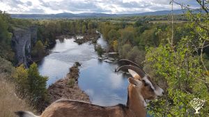 Vue pendant la ballade quotidienne 