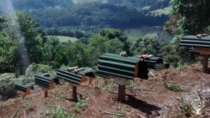 Family home and garden - rural, Homestead, Livestock Farm, Orchard, Mixed Farm, Farm, Family farm