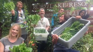 We grow all of our own vegetables and have several garden beds around the property.