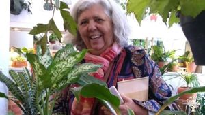 Produção de café,mangas e citros