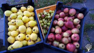 Nachhaltige Gartenentwicklung auf Rügen