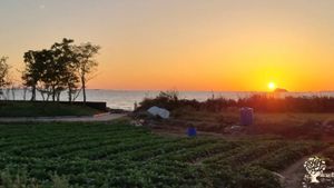 <CN103>동백나무숲  유기농농장 / Camellia Forest Organic Farm