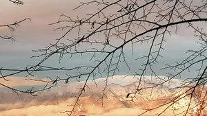 Fattoria di famiglia