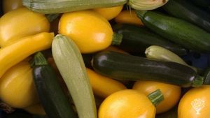 Family home and garden - rural, smallholding, market garden, orchard, farm