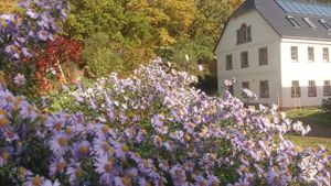 Im Herbst
