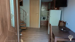 Organic Olive Oil Production