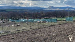 Ali Çağanın anısını yaşattığım, kendine yeten, doğal dostu bir çiftlik