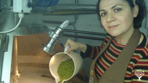 Azienda Agricola  cerealicola, oliveti , vigneti, orticole e frutteti.