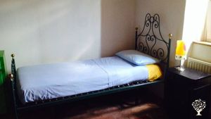 Piccolo podere (5 ettari) produzione di olio,  allevamento asini, coltivazione ortaggi, bosco