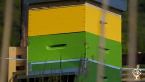 Frutteto, Azienda agricola, Produzione ortaggi, Olivi