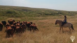 6500-acre grass-based beef ranch in South Dakota