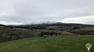 Mixed livestock (cattle, sheep, goats, pigs), food forest, small kitchen garden and polytunnel