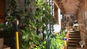 La serre aquaponique de l'intérieur