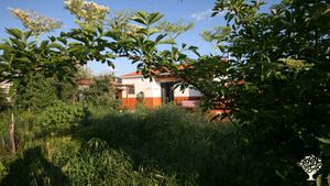 The loft garden; the house have three areas: a loft, the horta, and the main garden