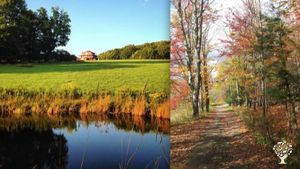 Organic no till market garden on 500 acres in a Buddhist hermitage in the Catskill Mountains