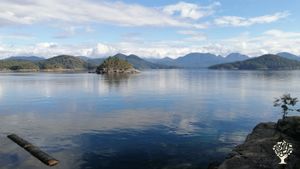 Off the Grid wooded property  with ocean view on Read island.