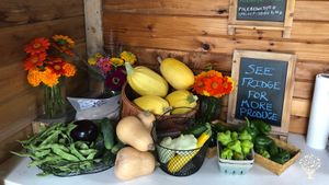 Small-scale farm with organically grown vegetables, a raw milk dairy, chickens & greenhouse nursery