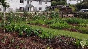 Smallholding