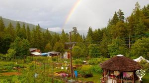 Family home and garden - rural