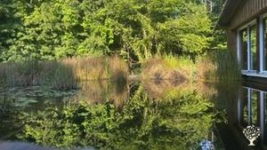 Arboriculture et apiculture bio en Nord Gironde