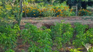 Ferme ecologique avec un potager en permaculture, des arbres fruitiers, des animaux de la ferme,