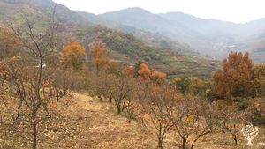 <JN127>삶과 예술이 함께하는 농장 / A Farm Where Life and Art Come Together