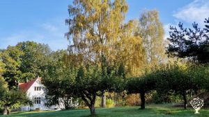 Heritage orchard and small farm