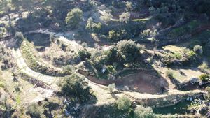 Honouring mother Earth, help regenerating the land and co-create beautiful gardens of abundance!