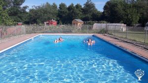 A dip in the pool after working.