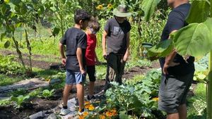 Organic lakeside farm on an Indigenous Land Back space in northern Minnesota