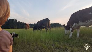 Demeterhof in der Vulkaneifel