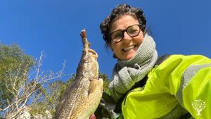 Organic animal farm on an Island