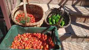 Fattoria di famiglia