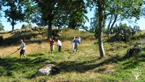 Traditional small scale self-sufficient farm with vegetable and animals