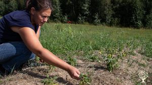 Farm with organic cultivation in permanent beds