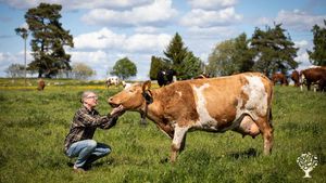 Mixed Farm, Woodlot, Family farm