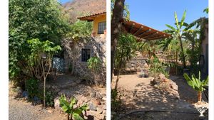 Welcome! Learn and adventure in joyous connection with community and nature in Lake Chapala, Mx