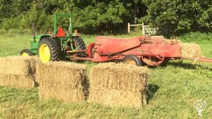 Small family farm located just outside of Clarksville in the Arkansas River Valley