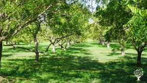 Agritourism Destination