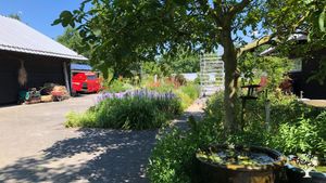 deze foto mag weg maar ik moet er 3 proberen up te loaden  de juiste komen via de mail 