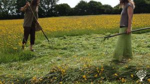 Hand Hay Making on our wildflower meadow