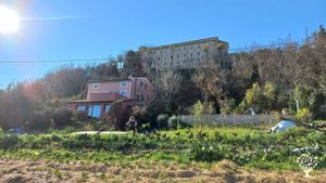Ecco una visione dell'orto e della casa