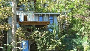 Diverse opportunities to WWOOF on two farms in Great Smoky Mountains
