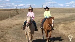 Cattle Ranch