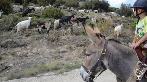 Ferme agro-écologique