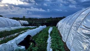 Highly diversified certified-organic production farm on island in St Lawrence River