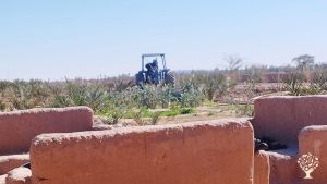 Garden project at the edge of the Sahara