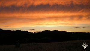 Azienda agricola biologica