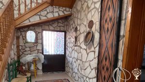 Permaculture farm, food forest in the making, kombucha brewing