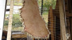 Regenerative farming in the mountains of Northern BC